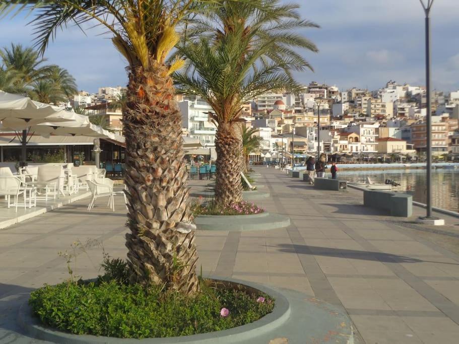 Seashell Apartment Sea View, Castle View 200Metres From The Beach Sitia  Exterior photo